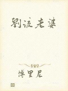 刘流老婆封面