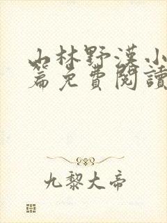 山林野汉小说全篇免费阅读