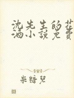 沈先生的花式调酒小说免费阅读