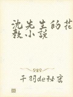 沈先生的花式调教小说