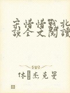 宋惜惜战北望小说全文阅读