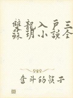 双龙入户三人行苏玥小说全文阅读