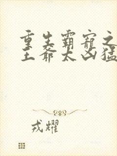 重生霸宠之摄政王爷太凶猛