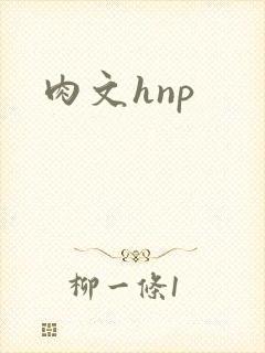 肉文hnp