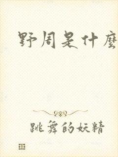 野周是什么意思