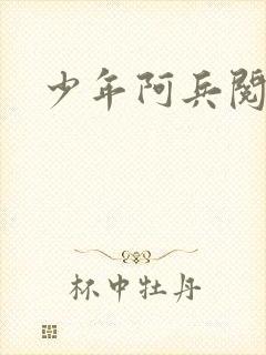 少年阿兵阅读