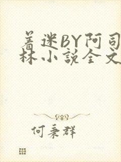 着迷BY阿司匹林小说全文免费阅读