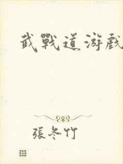 武战道游戏