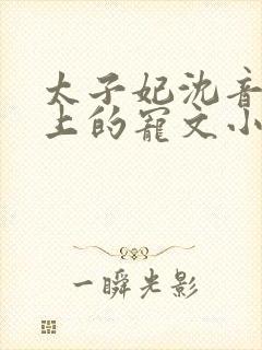 太子妃沈音和皇上的宠文小说