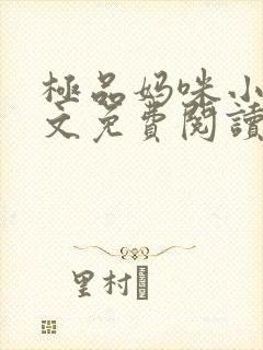 极品妈咪小说全文免费阅读