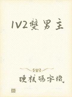 1V2双男主