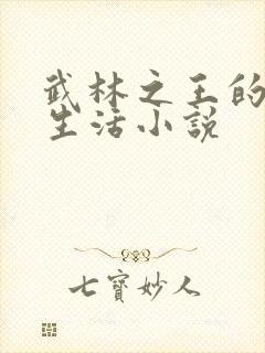 武林之王的退隐生活小说