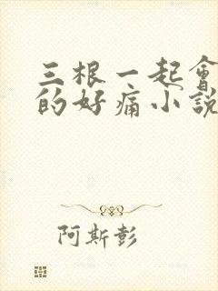 三根一起会坏掉的好痛小说