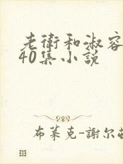 老卫和淑容1-40集小说封面