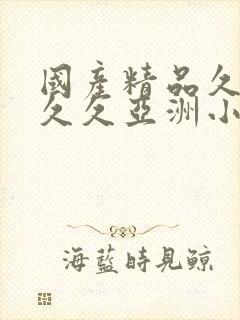 国产精品久久久久久亚洲小说