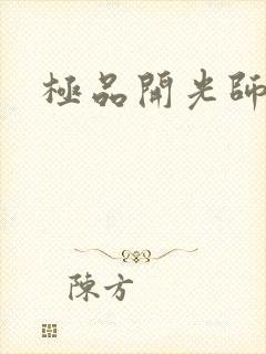 极品开光师