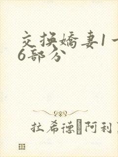 交换娇妻1一36部分