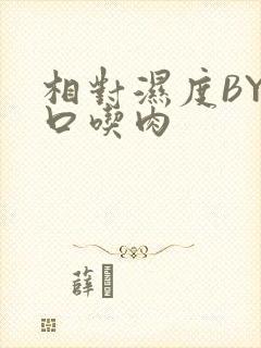 相对湿度BY大口吃肉