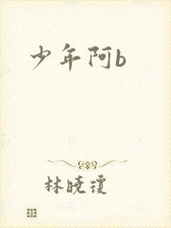 少年阿b