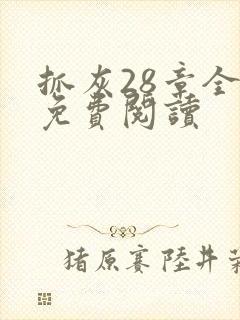 抓灰28章全部免费阅读