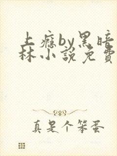 上瘾by黑暗森林小说免费封面