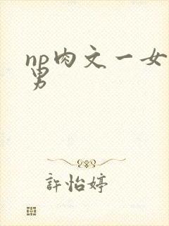 np肉文一女多男
