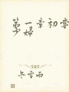 第一章初尝极品少妇