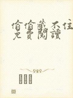 偷偷藏不住小说免费阅读