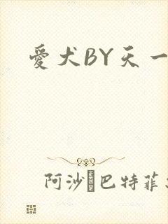 爱犬BY天一