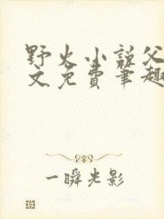 野火小说父女全文免费笔趣阁