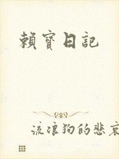 赖宝日记封面