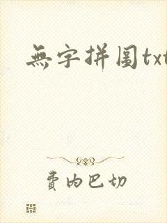 无字拼图txt