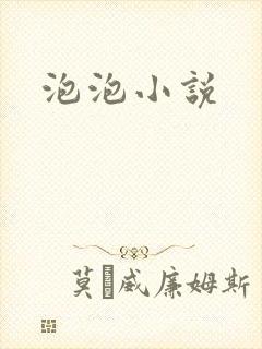 泡泡小说
