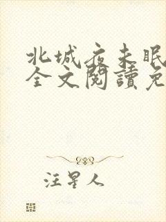 北城夜未眠小说全文阅读免费