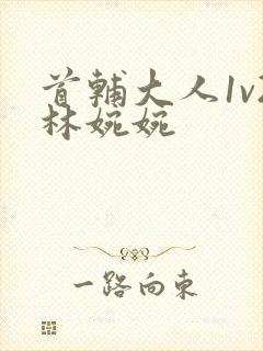 首辅大人1v2林婉婉