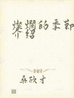 灿烂的季节剧情介绍