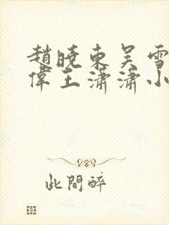 赵晓东吴雪晴郑伟王潇潇小说