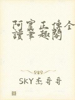 阿宾正传全文阅读笔趣阁封面