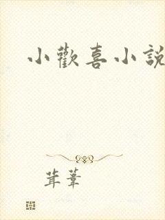 小欢喜小说