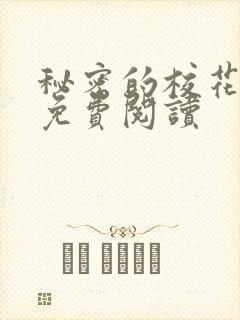 秘密的校花小说免费阅读