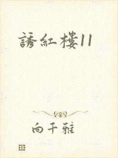 诱红楼11