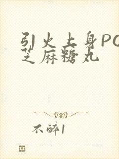 引火上身POP芝麻糖丸