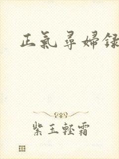 正气寻妇录
