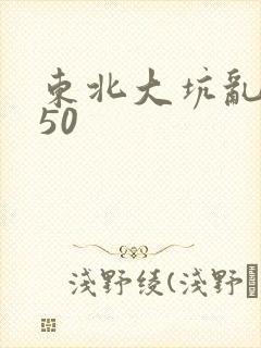 东北大坑乱1—50