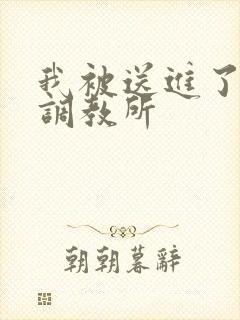 我被送进了私奴调教所