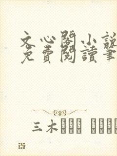 文心阁小说全文免费阅读笔趣阁