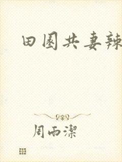 田园共妻辣