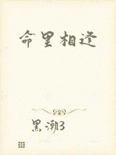 命里相逢