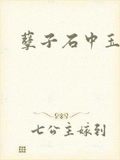 孽子石中玉