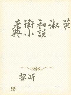 老卫和淑荣的经典小说